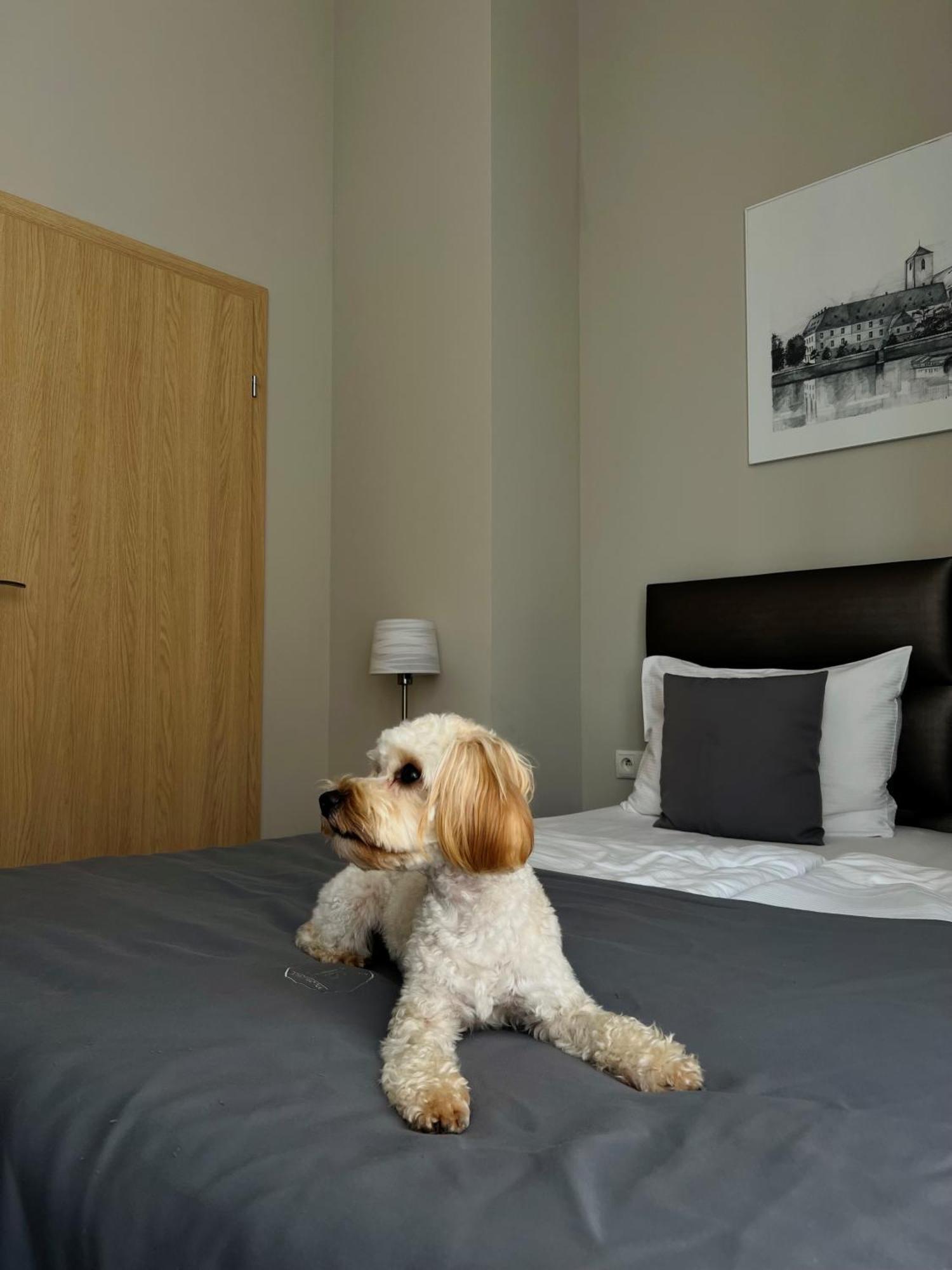 Joyinn Aparthotel ヴロツワフ エクステリア 写真
